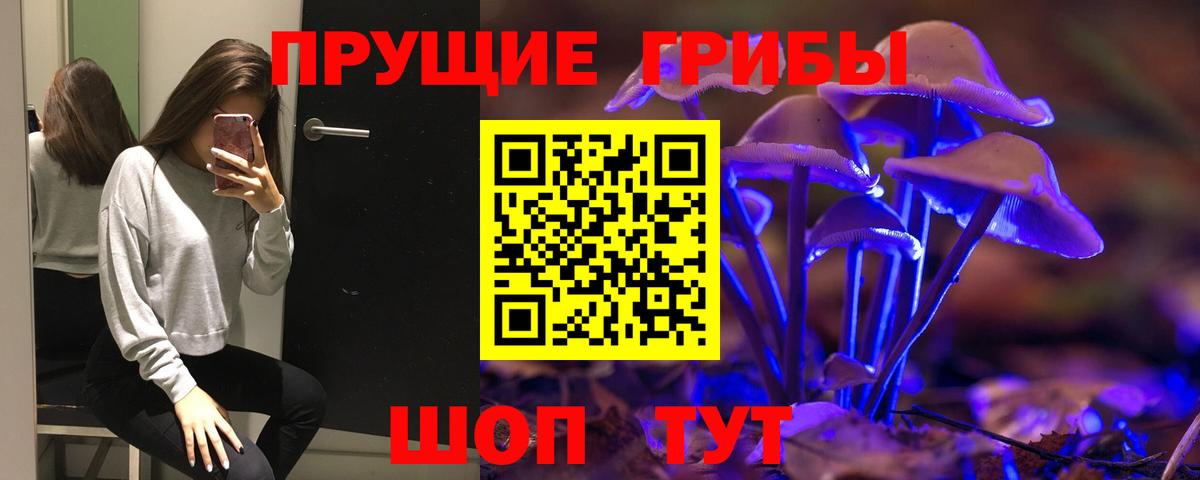 дарнет шоп  Псилоцибиновые грибы Magic Shrooms  Вход с VPN  Галлюциногенные грибы Psilocybe  Калининград 